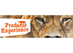 Monarto Zoo Predator Experience Lion Face Logo